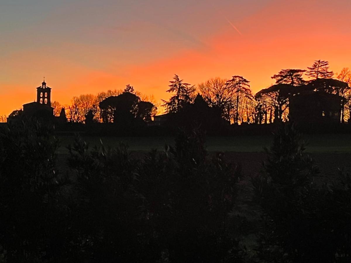 Villa Toscane - Atelier d'Artistes et B&B à 20 mn de Toulouse Azas Esterno foto